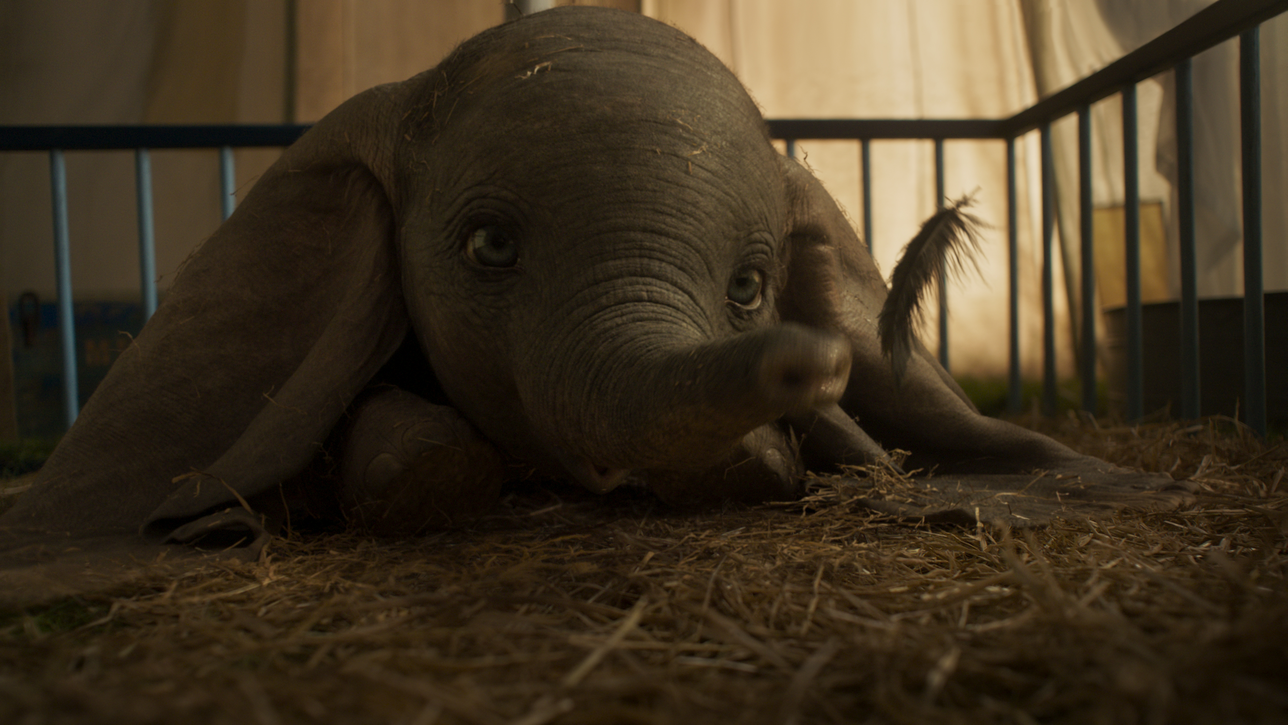 Dumbo - Ecco il nuovo, spettacolare trailer