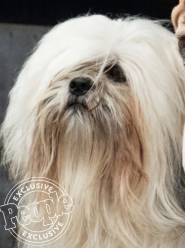 Lady Tramp 2