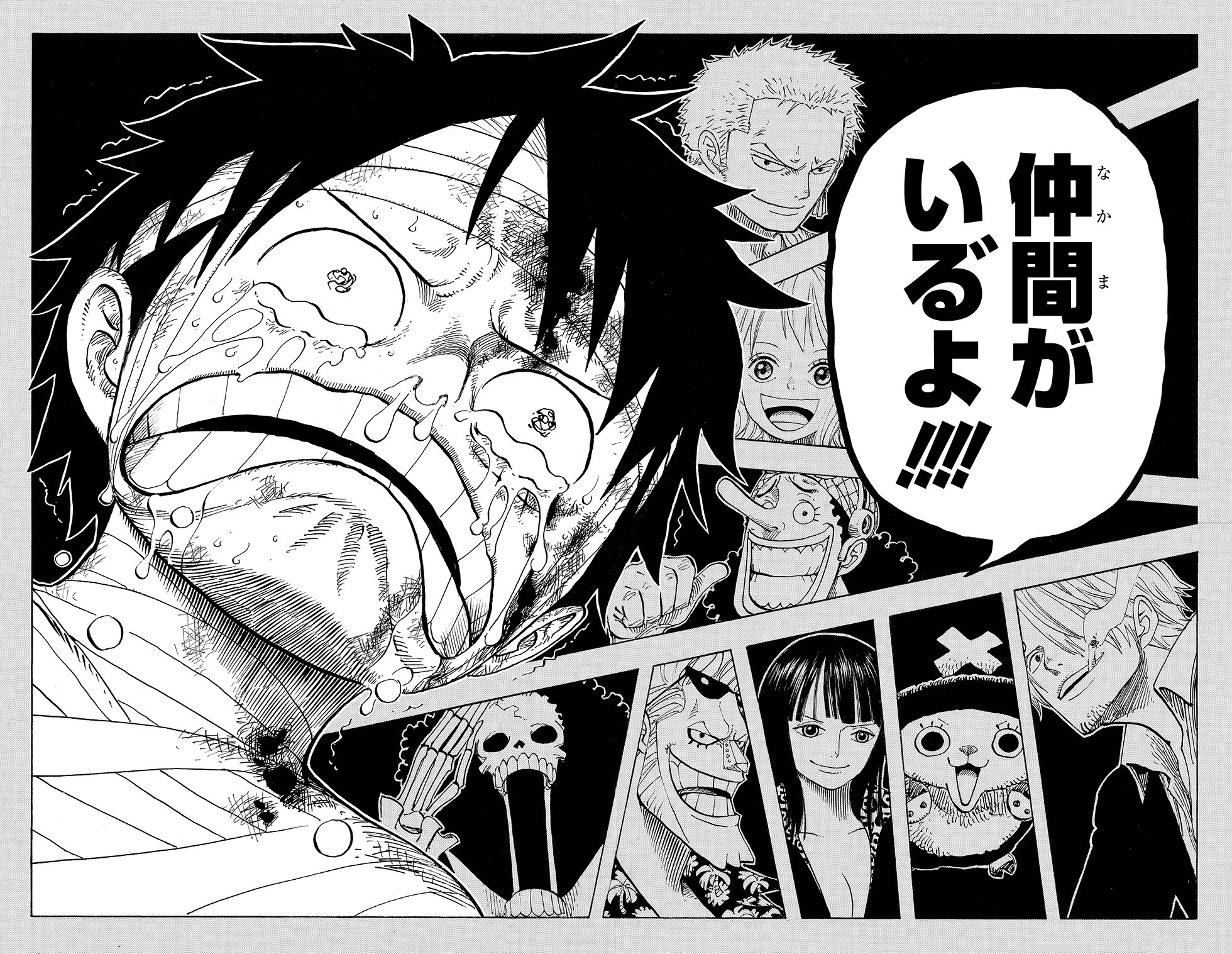 One Piece - Pausa per il manga