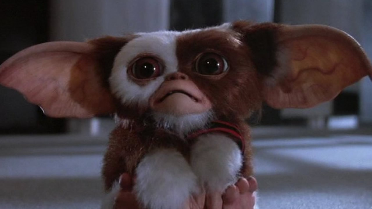 mogwai gremlins