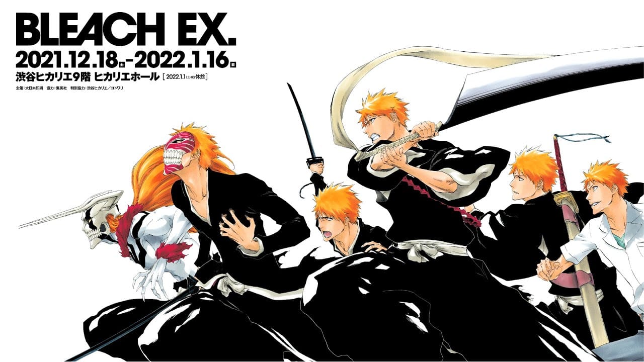 Bleach - L'importanza della mostra in corso