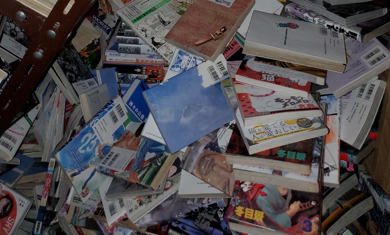 Troppi manga - La collezione distrugge metà della sua casa