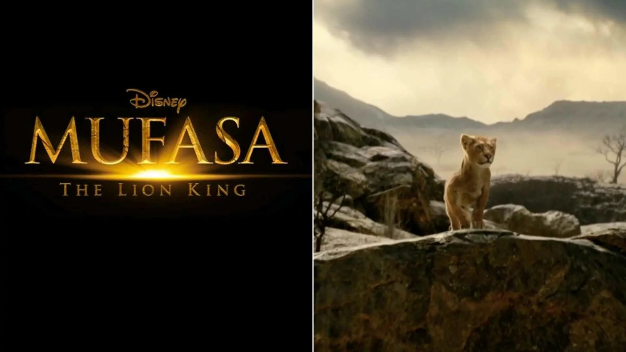 Mufasa: Il Re Leone - Ecco la prima immagine del prequel de "Il Re Leone"