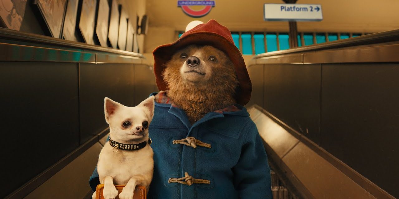 Confermati Paddington 4 e la serie spinoff