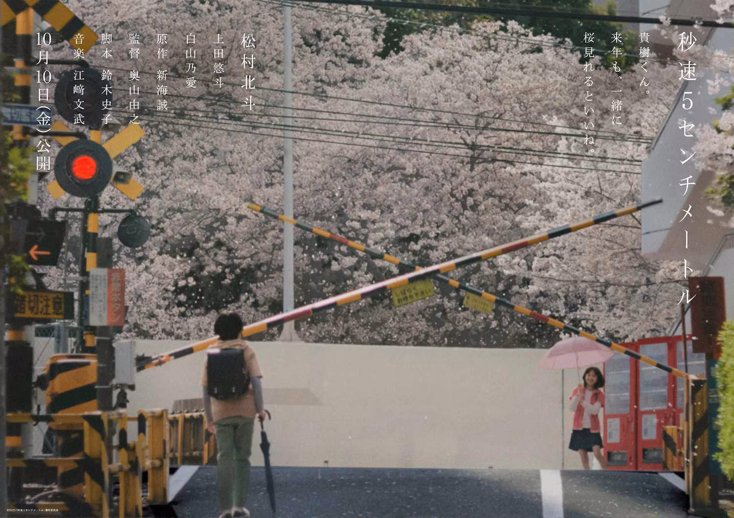5 cm al secondo - Il primo teaser trailer del live action