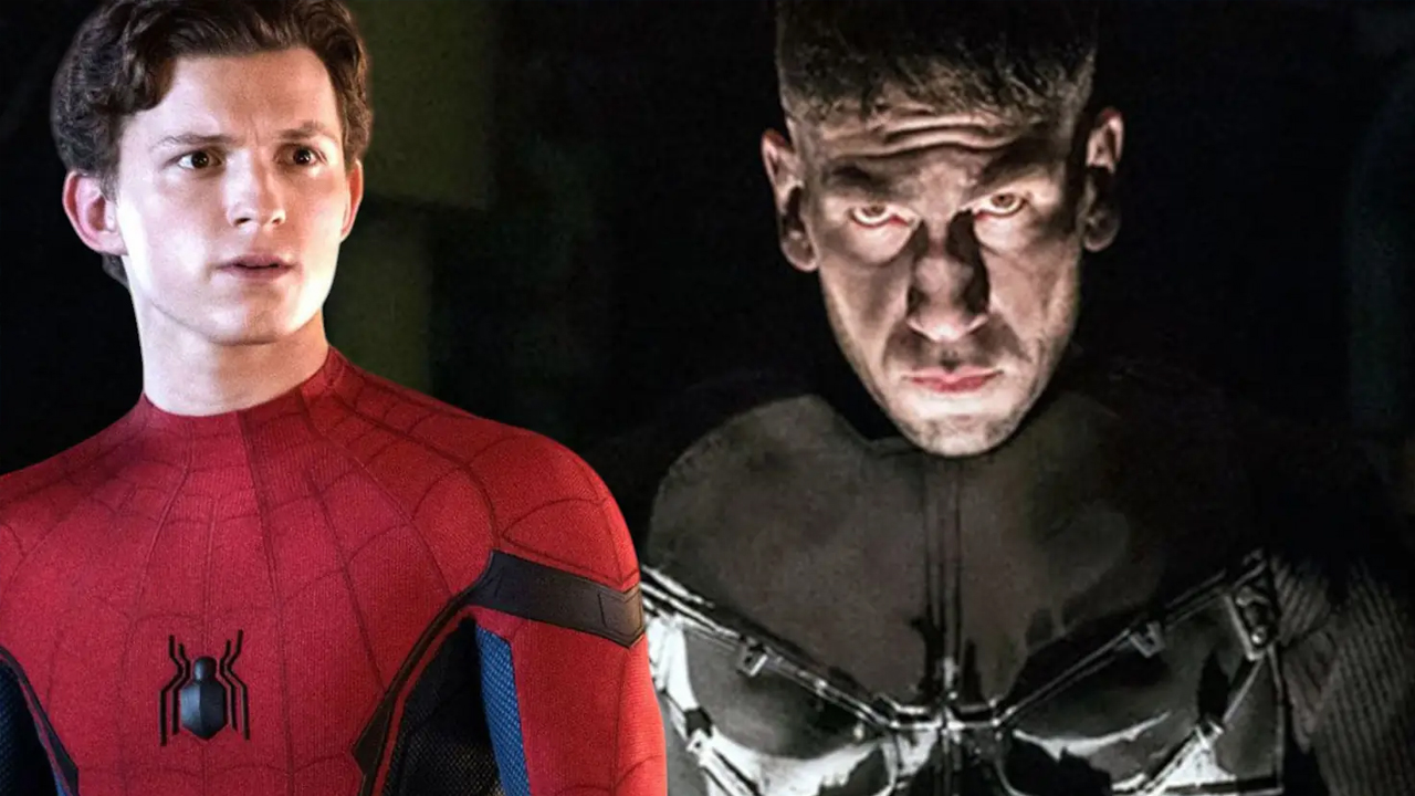 spider-man brand new day the punisher