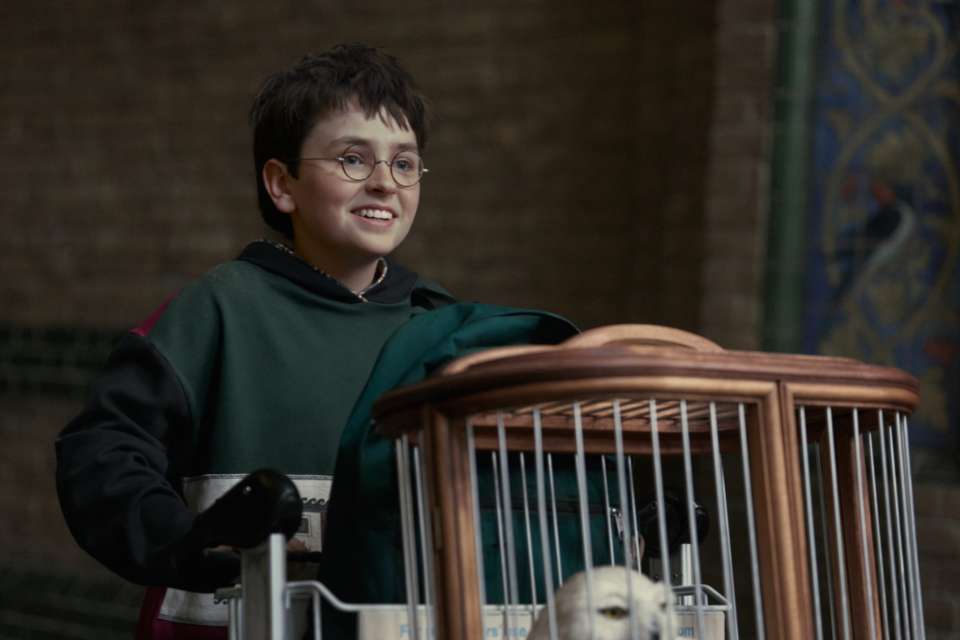 Harry Potter